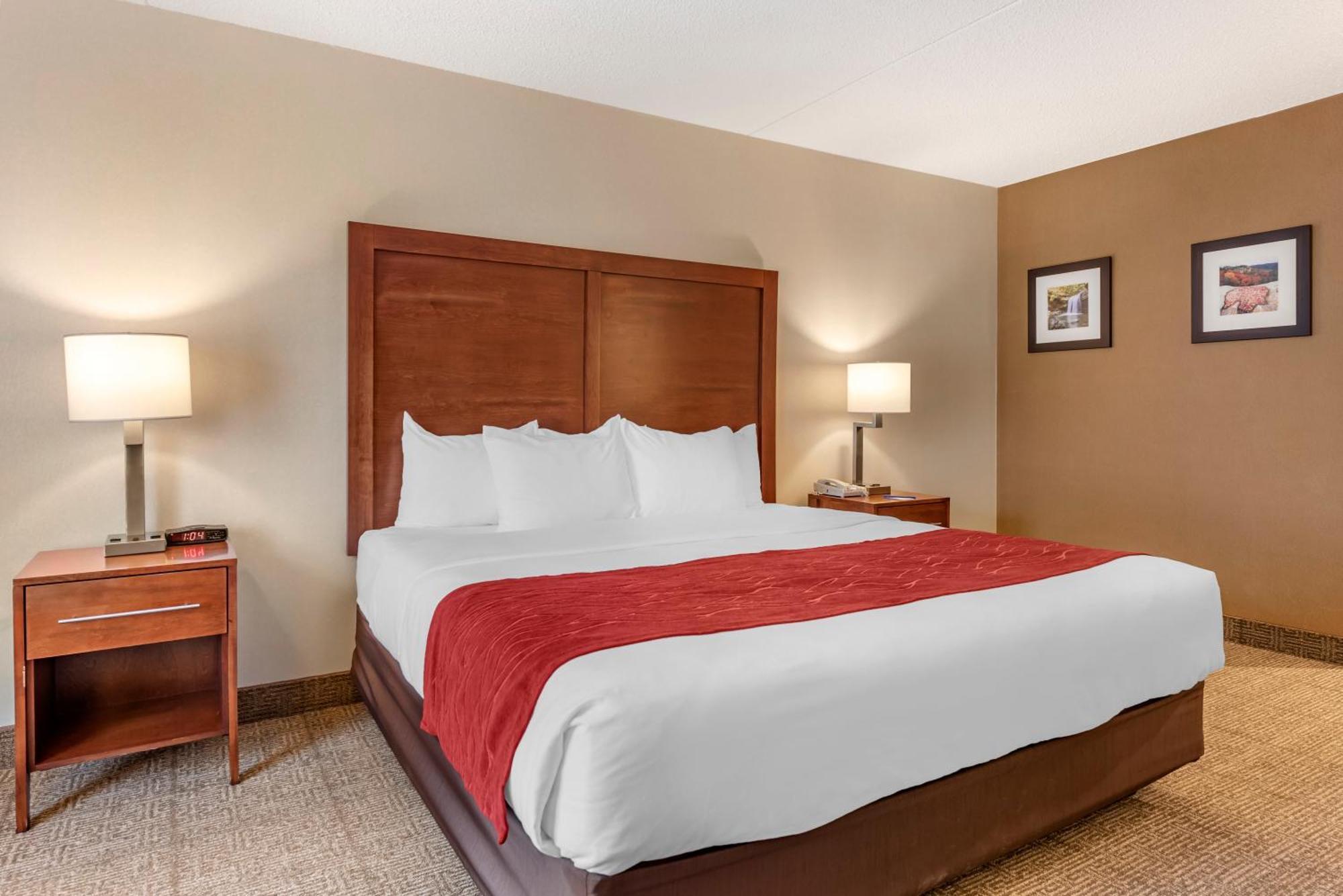 Comfort Inn & Suites Morehead Room photo