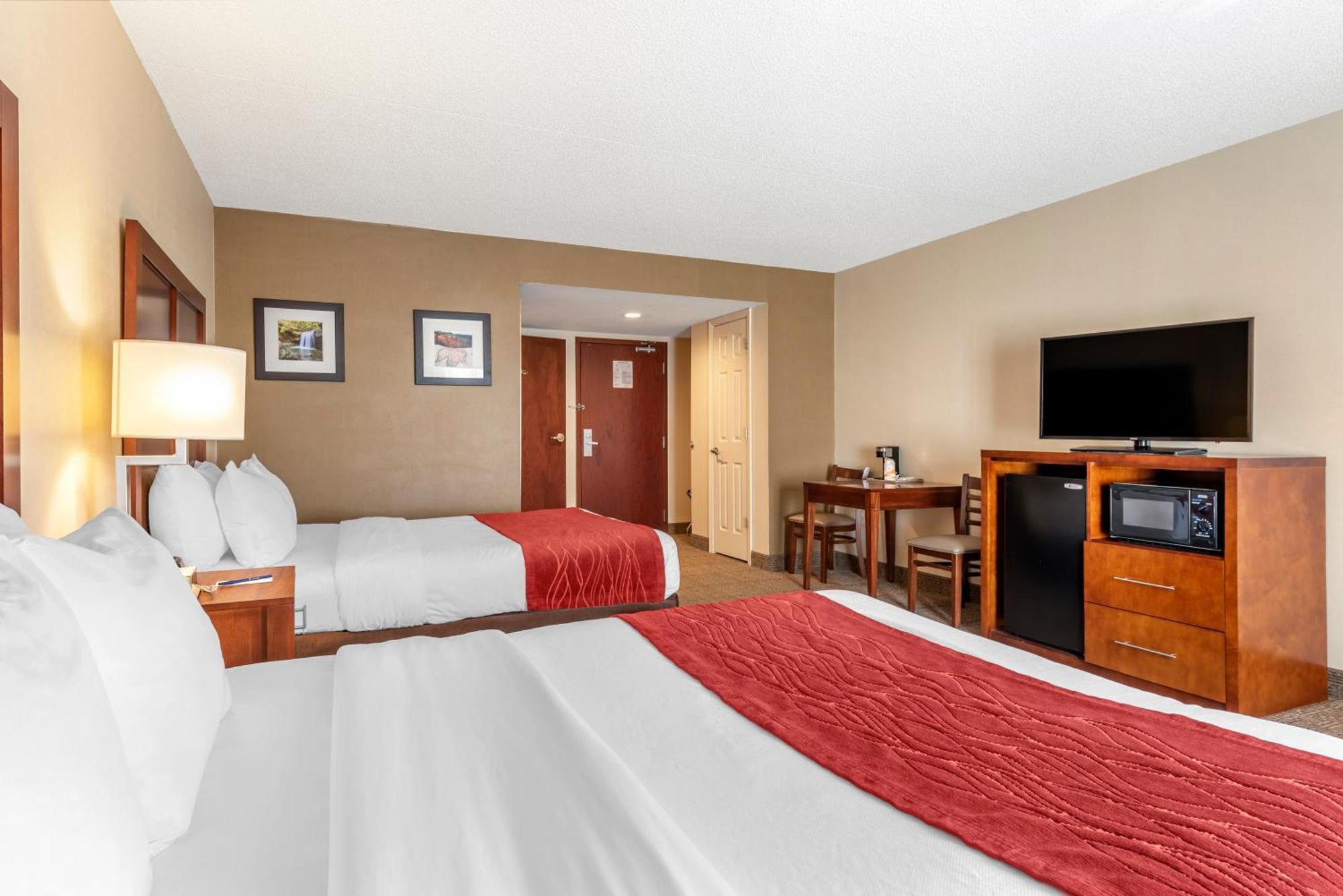 Comfort Inn & Suites Morehead Room photo